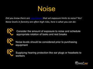 Common Forestry Hazards Pptx