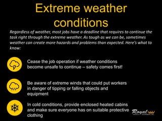 Common Forestry Hazards Pptx
