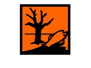 Hazard symbols powerpoint