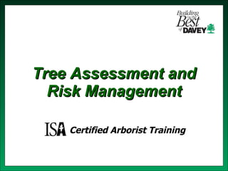 Tree Assessment and Risk Management Certified Arborist Training 