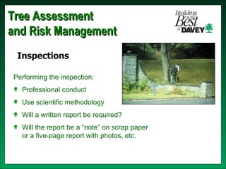 Hazard trees isa cert revised 0308 | PPT