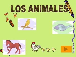 LOS ANIMALES 
