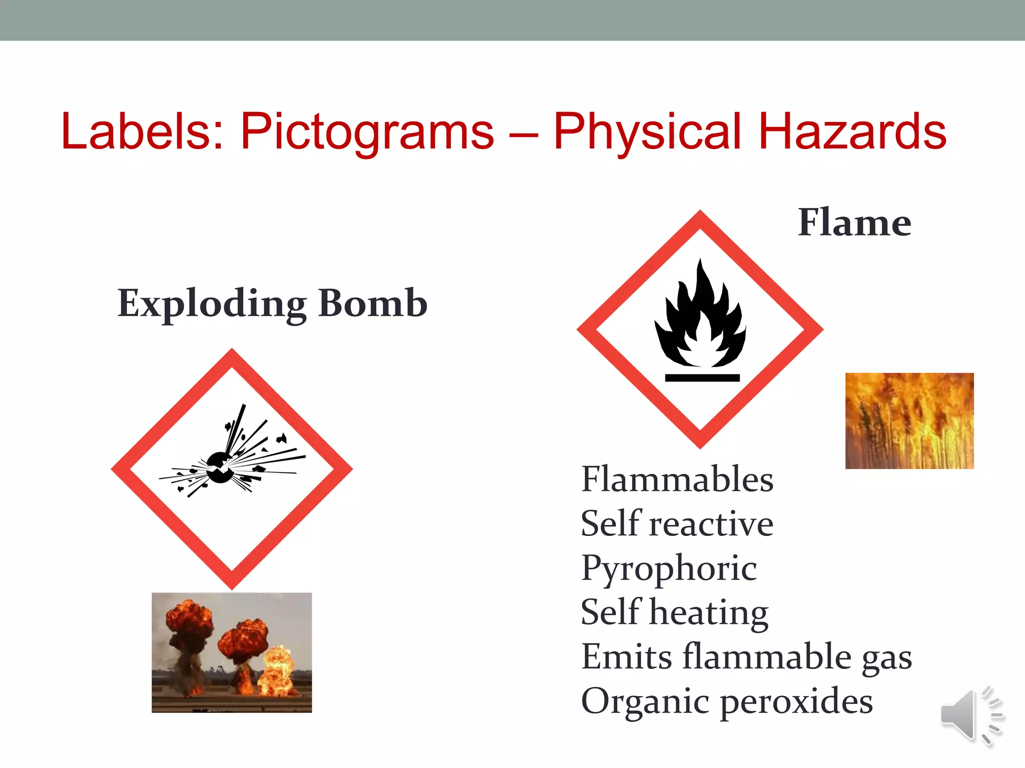 Labels: Pictograms – Physical Hazards
Flame
Exploding Bomb

Explosives
Self reactive
Organic peroxides

Flammables
Self reactive
Pyrophoric
Self heating
Emits flammable gas
Organic peroxides

 