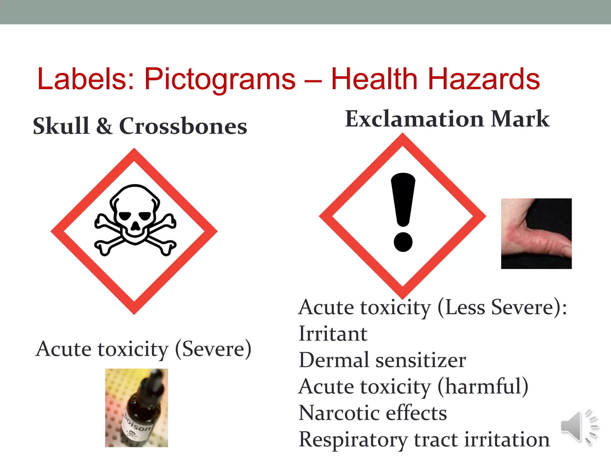 Labels: Pictograms – Health Hazards
Skull & Crossbones

Acute toxicity (Severe)

Exclamation Mark

Acute toxicity (Less Severe):
Irritant
Dermal sensitizer
Acute toxicity (harmful)
Narcotic effects
Respiratory tract irritation

 