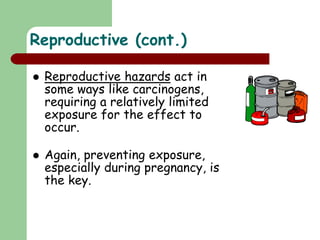  Reproductive hazards act in
some ways like carcinogens,
requiring a relatively limited
exposure for the effect to
occur.
 Again, preventing exposure,
especially during pregnancy, is
the key.
Reproductive (cont.)
 