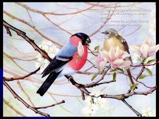 No dejes que tus problemas se
acumulen, resuélvelos lo antes
posible.
Habla, conversa, explica, discute
y perdona: el silencio mata.
 