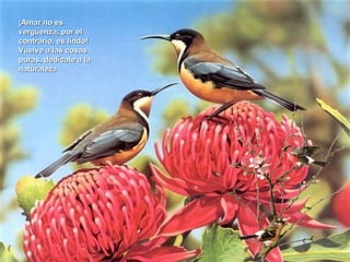 ¡Amar no es
vergüenza, por el
contrario, es lindo!
Vuelve a las cosas
puras, dedícate a la
naturaleza
 