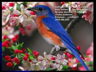 Cultiva tu interior y ella hará que
brote belleza de todos tus poros.
No seas aburrido... ¡Tú puedes!
¡Todos podemos!
Entonces ... ¡¡¡Vamos!!!
¡VIVE MEJOR!
 