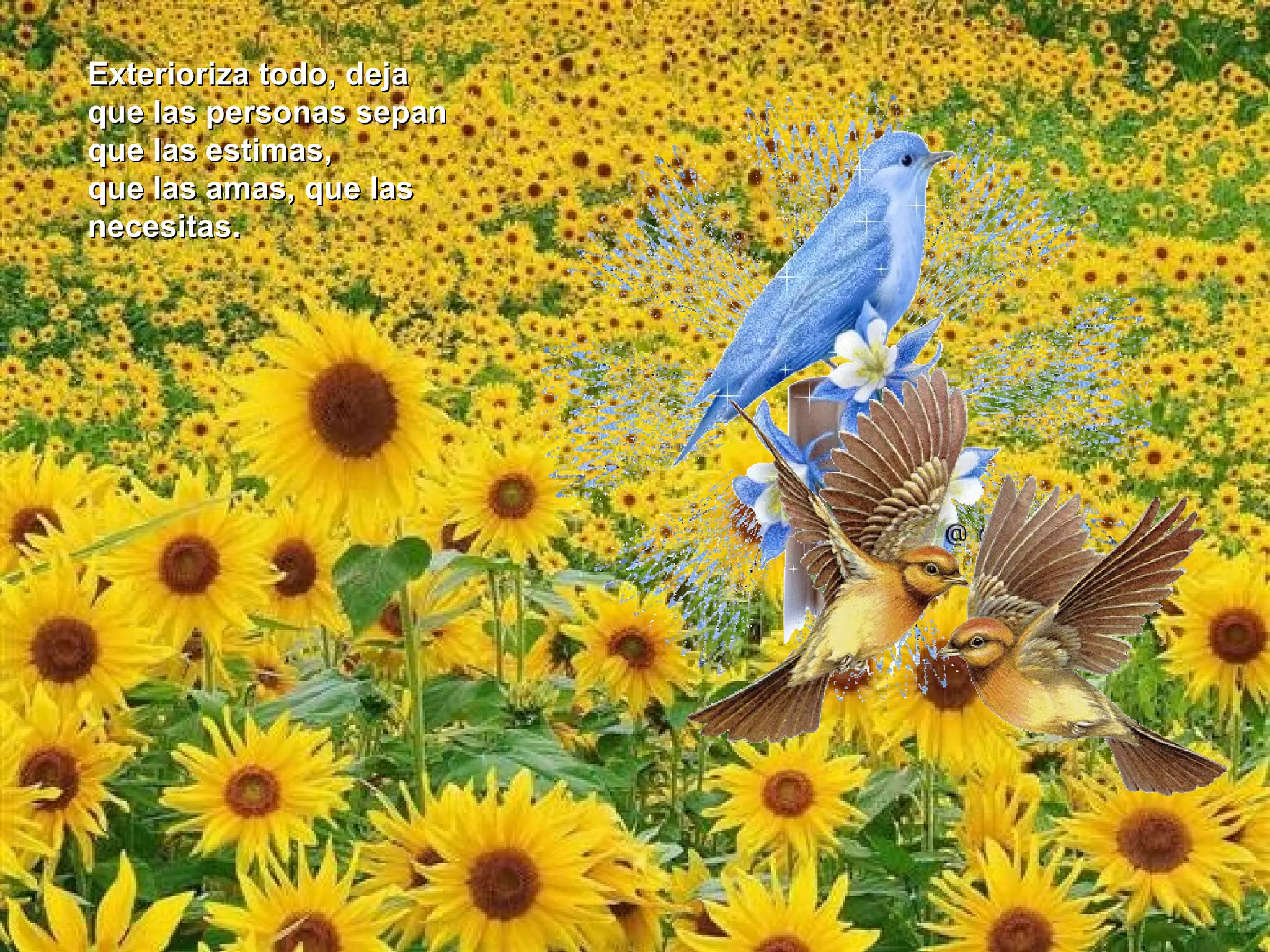 Exterioriza todo, dejaExterioriza todo, deja
que las personas sepanque las personas sepan
que las estimas,que las estimas,
que las amas, que lasque las amas, que las
necesitas.necesitas.
 