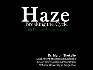 Haze
Breaking the Cycle
with Primate Conservation?




               Dr. Myron Shekelle
      Department of Biological Sciences
      & University Scholars Programme
       National University of Singapore
 