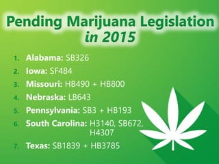 z
Pending Marijuana Legislation
in 2015
1. Alabama: SB326
2. Iowa: SF484
3. Missouri: HB490 + HB800
4. Nebraska: LB643
5. Pennsylvania: SB3 + HB193
6. South Carolina: H3140, SB672,
H4307
7. Texas: SB1839 + HB3785
 