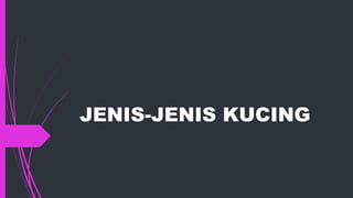JENIS-JENIS KUCING 
 