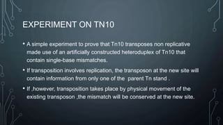 Transposition | PPTX