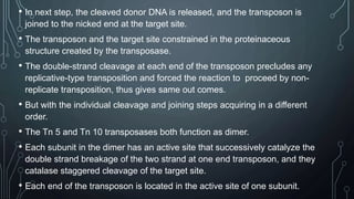 Transposition | PPTX