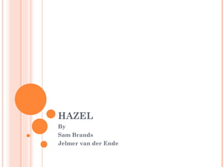 HAZEL By Sam Brands Jelmer van der Ende 