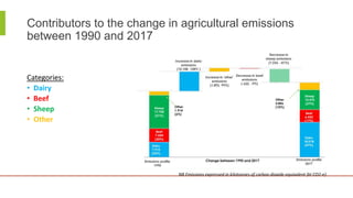Inventories in practice: An example from New Zealand