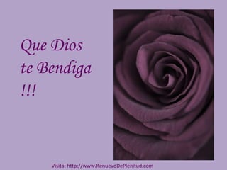Que Dios
te Bendiga
!!!
Visita: http://www.RenuevoDePlenitud.com
 