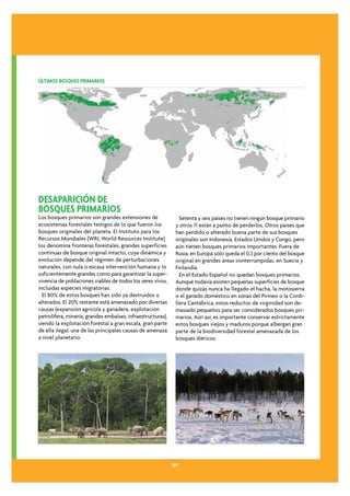 ÚLTIMOS BOSQUES PRIMARIOS




DESAPARICIÓN DE
BOSQUES PRIMARIOS
Los bosques primarios son grandes extensiones de                Setenta y seis países no tienen ningún bosque primario
ecosistemas forestales testigos de lo que fueron los          y otros 11 están a punto de perderlos. Otros países que
bosques originales del planeta. El Instituto para los         han perdido o alterado buena parte de sus bosques
Recursos Mundiales (WRI, World Resources Institute)           originales son Indonesia, Estados Unidos y Congo, pero
los denomina fronteras forestales, grandes superficies        aún tienen bosques primarios importantes. Fuera de
continuas de bosque original intacto, cuya dinámica y         Rusia, en Europa sólo queda el 0,3 por ciento del bosque
evolución depende del régimen de perturbaciones               original en grandes áreas ininterrumpidas, en Suecia y
naturales, con nula o escasa intervención humana y lo         Finlandia.
suficientemente grandes como para garantizar la super-          En el Estado Español no quedan bosques primarios.
vivencia de poblaciones viables de todos los seres vivos,     Aunque todavía existen pequeñas superficies de bosque
incluidas especies migratorias.                               donde quizás nunca ha llegado el hacha, la motosierra
  El 80% de estos bosques han sido ya destruidos o            o el ganado doméstico en zonas del Pirineo o la Cordi-
alterados. El 20% restante está amenazado por diversas        llera Cantábrica, estos reductos de virginidad son de-
causas (expansión agrícola y ganadera, explotación            masiado pequeños para ser considerados bosques pri-
petrolífera, minería, grandes embalses, infraestructuras),    marios. Aún así, es importante conservar estrictamente
siendo la explotación forestal a gran escala, gran parte      estos bosques viejos y maduros porque albergan gran
de ella ilegal, una de las principales causas de amenaza      parte de la biodiversidad forestal amenazada de los
a nivel planetario.                                           bosques ibéricos.




                                                             09
 
