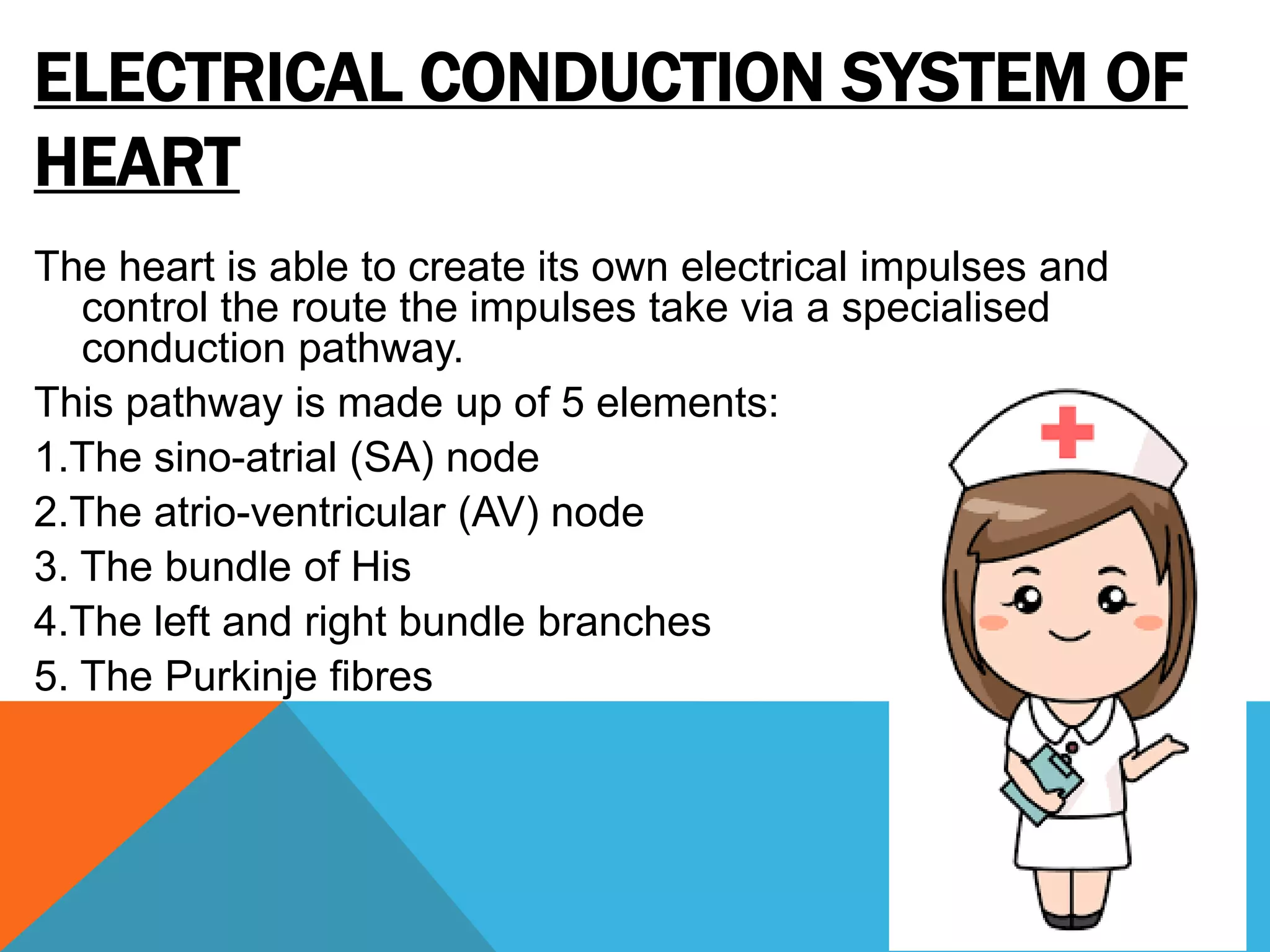 ELECTRICAL CONDUCTION SYSTEM OF
HEART
The heart is able to create its own electrical impulses and
control the route the impulses take via a specialised
conduction pathway.
This pathway is made up of 5 elements:
1.The sino-atrial (SA) node
2.The atrio-ventricular (AV) node
3. The bundle of His
4.The left and right bundle branches
5. The Purkinje fibres
 