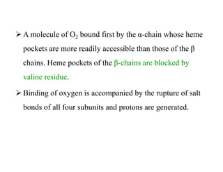  A molecule of O2 bound first by the α-chain whose heme
pockets are more readily accessible than those of the β
chains. Heme pockets of the β-chains are blocked by
valine residue.
 Binding of oxygen is accompanied by the rupture of salt
bonds of all four subunits and protons are generated.
 A molecule of O2 bound first by the α-chain whose heme
pockets are more readily accessible than those of the β
chains. Heme pockets of the β-chains are blocked by
valine residue.
 Binding of oxygen is accompanied by the rupture of salt
bonds of all four subunits and protons are generated.
 
