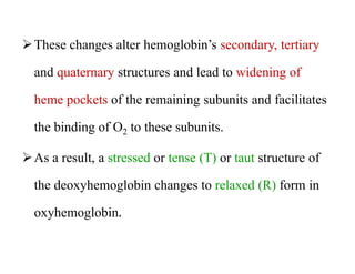 These changes alter hemoglobin’s secondary, tertiary
and quaternary structures and lead to widening of
heme pockets of the remaining subunits and facilitates
the binding of O2 to these subunits.
As a result, a stressed or tense (T) or taut structure of
the deoxyhemoglobin changes to relaxed (R) form in
oxyhemoglobin.
These changes alter hemoglobin’s secondary, tertiary
and quaternary structures and lead to widening of
heme pockets of the remaining subunits and facilitates
the binding of O2 to these subunits.
As a result, a stressed or tense (T) or taut structure of
the deoxyhemoglobin changes to relaxed (R) form in
oxyhemoglobin.
 