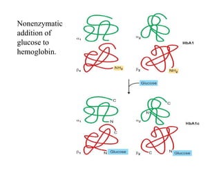 Nonenzymatic
addition of
glucose to
hemoglobin.
 