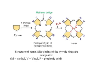 Structure of heme. Side chains of the pyrrole rings are
designated.
(M = methyl, V = Vinyl, P = propionic acid)
 