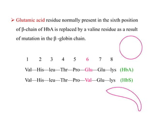 Glutamic acid residue normally present in the sixth position
of β-chain of HbA is replaced by a valine residue as a result
of mutation in the β -globin chain.
1 2 3 4 5 6 7 8
Val—His—leu—Thr—Pro—Glu—Glu—lys (HbA)
Val—His—leu—Thr—Pro—Val—Glu—lys (HbS)
 Glutamic acid residue normally present in the sixth position
of β-chain of HbA is replaced by a valine residue as a result
of mutation in the β -globin chain.
1 2 3 4 5 6 7 8
Val—His—leu—Thr—Pro—Glu—Glu—lys (HbA)
Val—His—leu—Thr—Pro—Val—Glu—lys (HbS)
 
