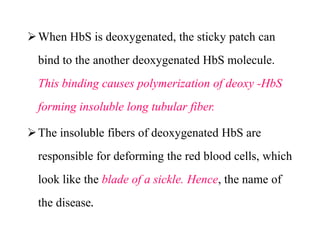 When HbS is deoxygenated, the sticky patch can
bind to the another deoxygenated HbS molecule.
This binding causes polymerization of deoxy -HbS
forming insoluble long tubular fiber.
The insoluble fibers of deoxygenated HbS are
responsible for deforming the red blood cells, which
look like the blade of a sickle. Hence, the name of
the disease.
When HbS is deoxygenated, the sticky patch can
bind to the another deoxygenated HbS molecule.
This binding causes polymerization of deoxy -HbS
forming insoluble long tubular fiber.
The insoluble fibers of deoxygenated HbS are
responsible for deforming the red blood cells, which
look like the blade of a sickle. Hence, the name of
the disease.
 