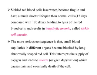  Sickled red blood cells lose water, become fragile and
have a much shorter lifespan than normal cells (17 days
compared with 120 days), leading to lysis of the red
blood cells and results in hemolytic anemia, called sickle
cell anemia.
 The more serious consequence is that, small blood
capillaries in different organs become blocked by long
abnormally shaped red cell. This interrupts the supply of
oxygen and leads to anoxia (oxygen deprivation) which
causes pain and eventually death of the cell.
 Sickled red blood cells lose water, become fragile and
have a much shorter lifespan than normal cells (17 days
compared with 120 days), leading to lysis of the red
blood cells and results in hemolytic anemia, called sickle
cell anemia.
 The more serious consequence is that, small blood
capillaries in different organs become blocked by long
abnormally shaped red cell. This interrupts the supply of
oxygen and leads to anoxia (oxygen deprivation) which
causes pain and eventually death of the cell.
 