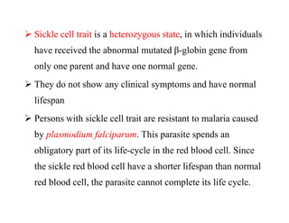  Sickle cell trait is a heterozygous state, in which individuals
have received the abnormal mutated β-globin gene from
only one parent and have one normal gene.
 They do not show any clinical symptoms and have normal
lifespan
 Persons with sickle cell trait are resistant to malaria caused
by plasmodium falciparum. This parasite spends an
obligatory part of its life-cycle in the red blood cell. Since
the sickle red blood cell have a shorter lifespan than normal
red blood cell, the parasite cannot complete its life cycle.
 Sickle cell trait is a heterozygous state, in which individuals
have received the abnormal mutated β-globin gene from
only one parent and have one normal gene.
 They do not show any clinical symptoms and have normal
lifespan
 Persons with sickle cell trait are resistant to malaria caused
by plasmodium falciparum. This parasite spends an
obligatory part of its life-cycle in the red blood cell. Since
the sickle red blood cell have a shorter lifespan than normal
red blood cell, the parasite cannot complete its life cycle.
 