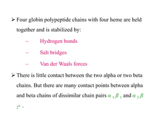  Four globin polypeptide chains with four heme are held
together and is stabilized by:
– Hydrogen bonds
– Salt bridges
– Van der Waals forces
 There is little contact between the two alpha or two beta
chains. But there are many contact points between alpha
and beta chains of dissimilar chain pairs α 1 β 1 and α 2 β
2- .
 Four globin polypeptide chains with four heme are held
together and is stabilized by:
– Hydrogen bonds
– Salt bridges
– Van der Waals forces
 There is little contact between the two alpha or two beta
chains. But there are many contact points between alpha
and beta chains of dissimilar chain pairs α 1 β 1 and α 2 β
2- .
 