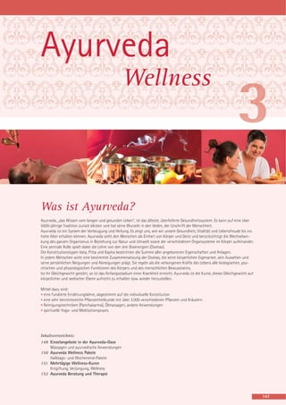 Yoga Vidya 2012 Hauptkatalog