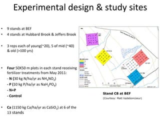 Experimental design & study sites
• 9 stands at BEF
• 4 stands at Hubbard Brook & Jeffers Brook
• 3 reps each of young(~20), 5 of mid (~40)
& old (>100 yrs)
• Four 50X50 m plots in each stand receiving
fertilizer treatments from May 2011:
- N (30 kg N/ha/yr as NH4NO3)
- P (10 kg P/ha/yr as NaH2PO4)
- N+P
- Control
• Ca (1150 kg Ca/ha/yr as CaSiO3) at 6 of the
13 stands
Stand C8 at BEF
(Courtesy: Matt Vadeboncoeur)
 