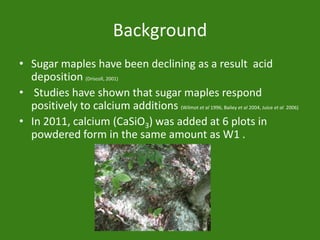 Background
• Sugar maples have been declining as a result acid
deposition (Driscoll, 2001)
• Studies have shown that sugar...