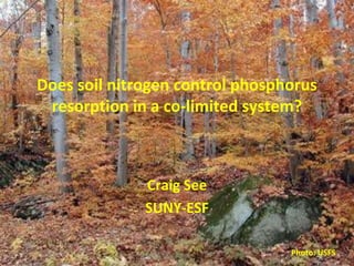 Does soil nitrogen control phosphorus
resorption in a co-limited system?
Craig See
SUNY-ESF
Photo: USFS
 