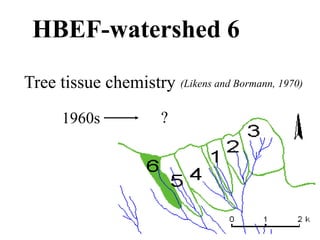 HBEF-watershed 6
Tree tissue chemistry (Likens and Bormann, 1970)
1960s ?
 