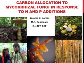 CARBON ALLOCATION TO
MYCORRHIZAL FUNGI IN RESPONSE
TO N AND P ADDITIONS
Jerome C. Barner
M.S. Candidate
S.U.N.Y. ESF
 