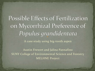 A case study using big-tooth aspen
Austin Frewert and Jalina Pannafino
SUNY College of Environmental Science and Forestry
MELHNE Project
 