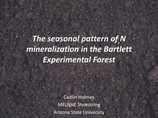 The seasonal pattern of N
mineralization in the Bartlett
Experimental Forest
Caitlin Holmes
MELNHE Shoestring
Arizona State University
 