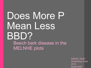 Does More P
Mean Less
BBD?
Beech bark disease in the
MELNHE plots
Aaliyah Jason
Shoestring Crew
2015
SUNY-ESF
 