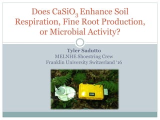 Tyler Sadutto
MELNHE Shoestring Crew
Franklin University Switzerland ‘16
Does CaSiO3 Enhance Soil
Respiration, Fine Root Production,
or Microbial Activity?
 