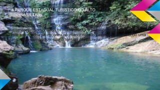 4.PARQUE ESTADUAL TURISTICO DO ALTO
RIBEIRA(PETAR)
Esta região localizada no sul do estado, possui na mata atlântica mais de 350
cavernas, proporcionando os mais inusitados passeios, além das cachoeiras
onde sua maioria se encontra no interior dessas cavernas, ocasionando uma
sensação incomparável com o contato da natureza.
 