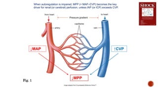 Blood Pressure Targets by Dr Rakshit Panwar | PPTX