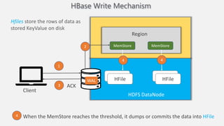 HBase Write Mechanism
MemStore MemStore
Region
HFile
HFile
HFile
HFile
WAL
HDFS DataNode
Client
When the MemStore reaches the threshold, it dumps or commits the data into HFile
4
1
Hfiles store the rows of data as
stored KeyValue on disk
2
3
4 4
ACK
 