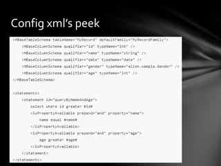 Config xml’s peek

 