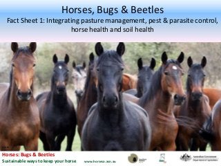 Horses: Bugs & Beetles
Sustainable ways to keep your horse www.horsesa.asn.au
Horses, Bugs & Beetles
Fact Sheet 1: Integrating pasture management, pest & parasite control,
horse health and soil health
Istock
 