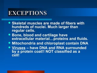 EEXXCCEEPPTTIIOONNSS 
Skeletal muscles are made of fibers with 
hundreds of nuclei. Much larger than 
regular cells. 
Bone, blood and cartilage have 
extracellular material…proteins and fluids. 
Mitochondria and chloroplast contain DNA 
Viruses – have DNA and RNA surrounded 
by a protein coat!! NOT classified as a 
cell! 
 