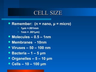 CCEELLLL SSIIZZEE 
Remember: (n = nano, μ = micro) 
• 1μm =.001mm 
• 1nm = .001μm) 
Molecules – 0.5 – 1nm 
Membranes - 10nm 
Viruses – 50 – 100 nm 
Bacteria – 1 – 5 μm 
Organelles – 5 – 10 μm 
Cells – 10 – 100 μm 
 