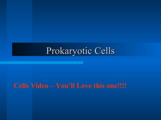 PPrrookkaarryyoottiicc CCeellllss 
Cells Video – You’ll Love this one!!!! 
 